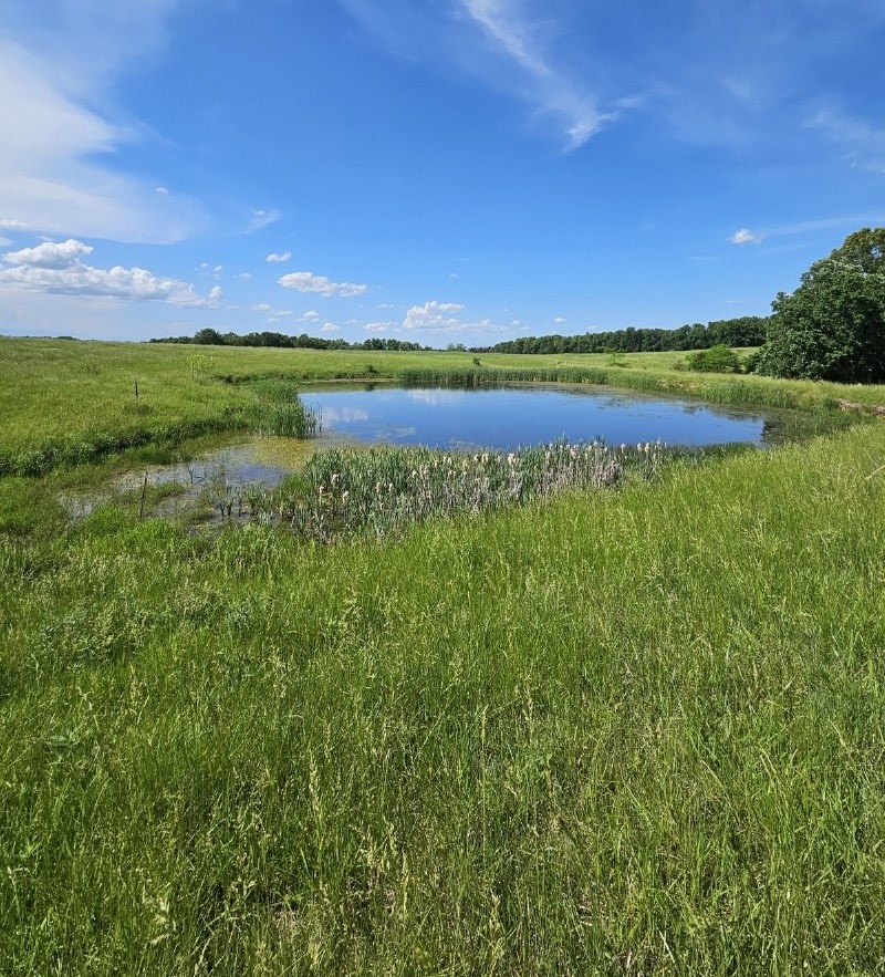 116.39 Acres For Sale Shelby County, Missouri