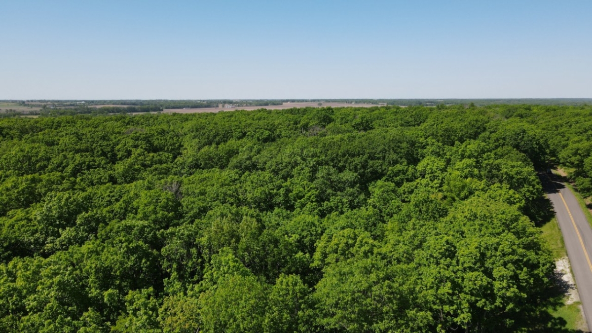 7.2 Acres For Sale In Scotland County, Missouri