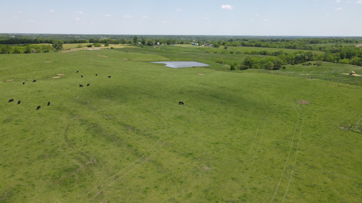 48.9 Acres Scotland County, Missouri