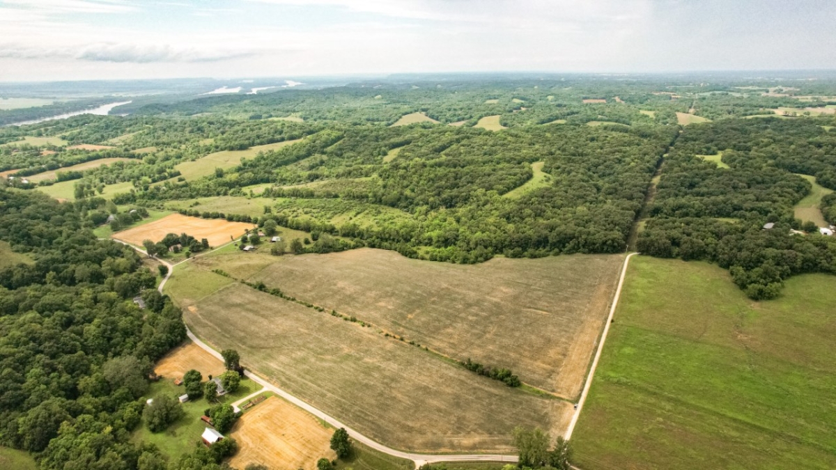 299.44 Acres For Sale In Calhoun County, Illinois