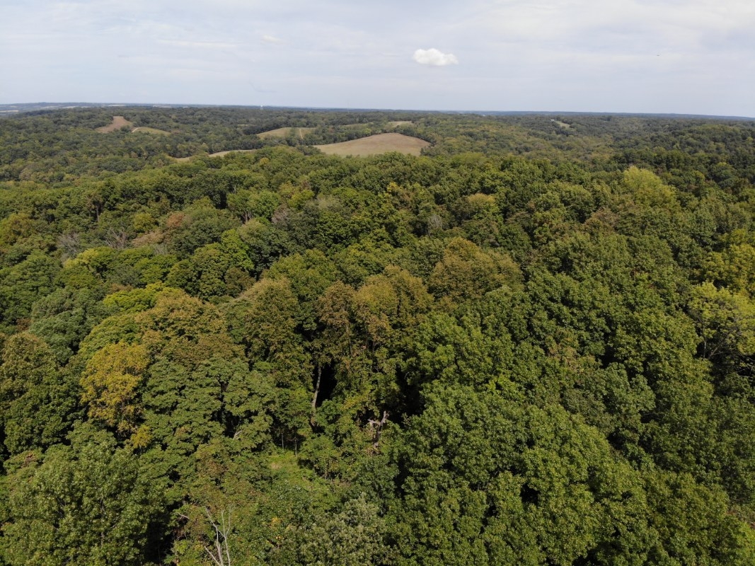 80 Acres For Sale In Calhoun County, Illinois