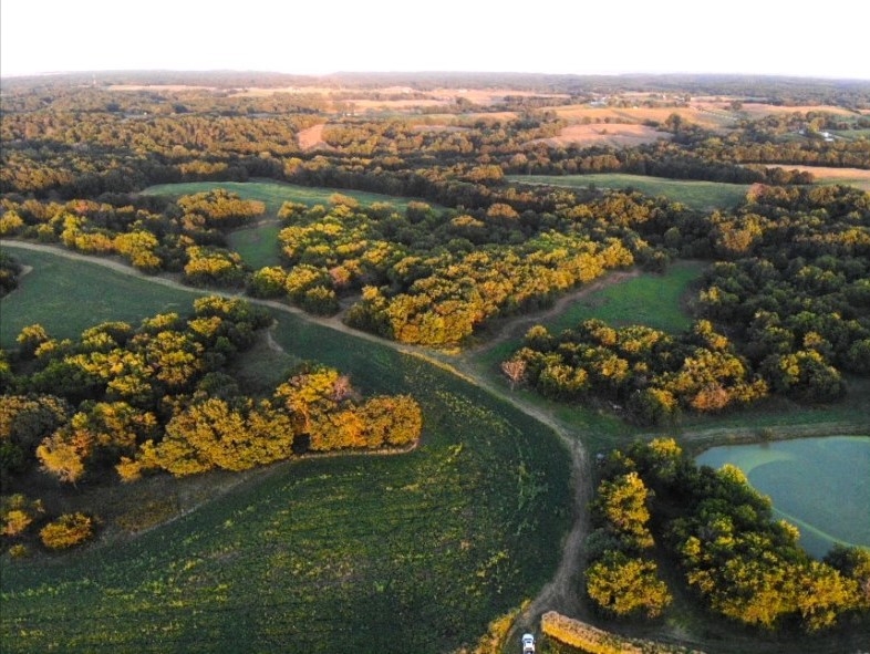 118.5 Acres Calhoun County Illinois