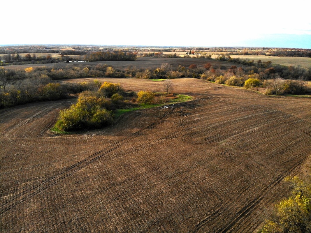 40 Acres For Sale In Pike County, Illinois