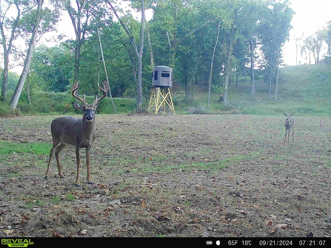 53.35 Acres For Sale In Pike County, Illinois